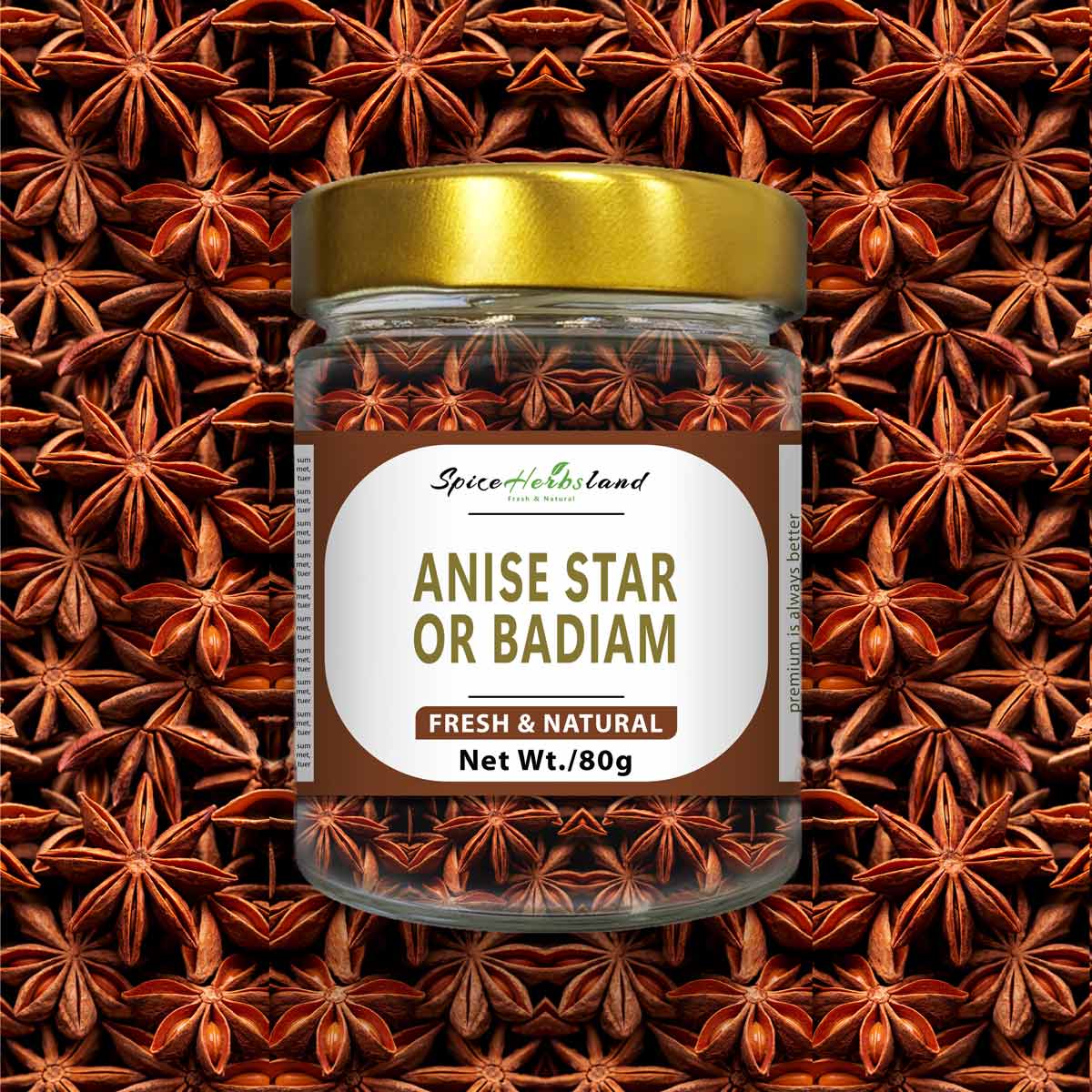Anise_star_or_Badiam_SH3
