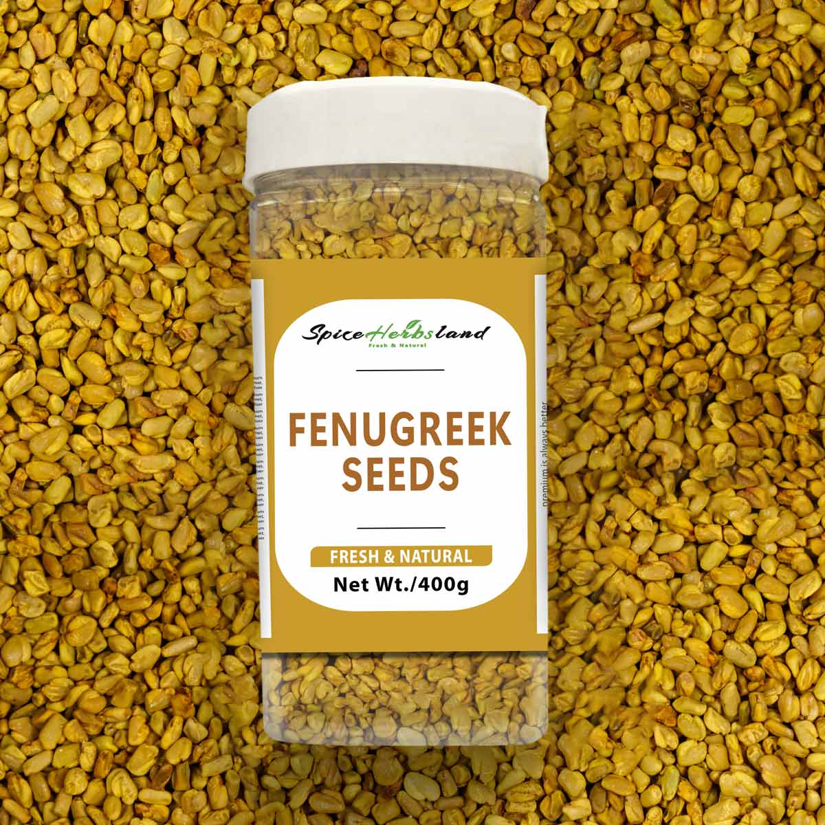 Fenugreek_seeds_SH10_P