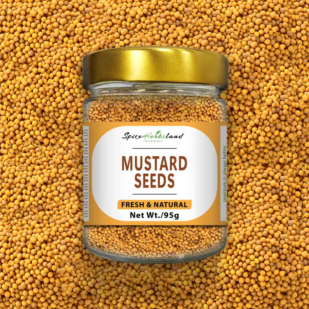 Mustard_seeds_SH29