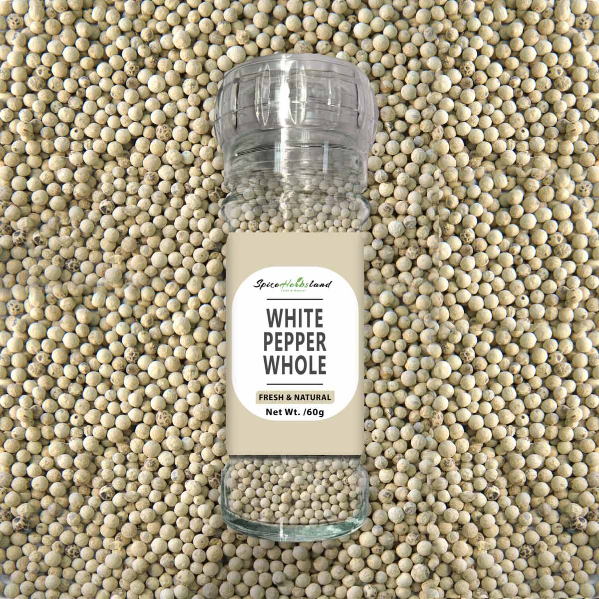 White_pepper_whole_SH21_G